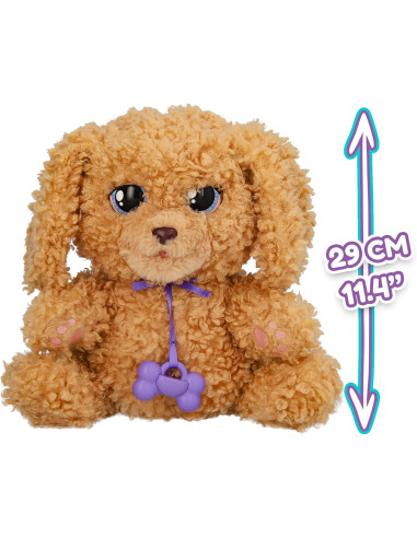 BABY PAWS Labradoodle