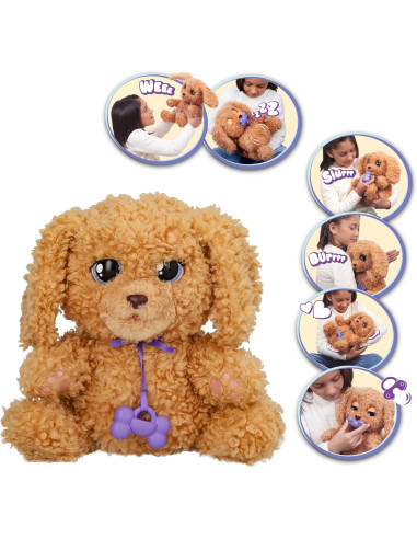 BABY PAWS Labradoodle