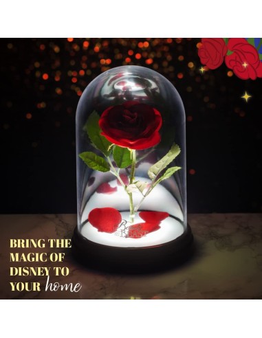 Paladone  Lampada Beauty e Beast Rose