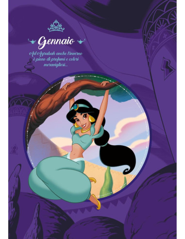 Storie senza tempo 12 principesse da sogno....