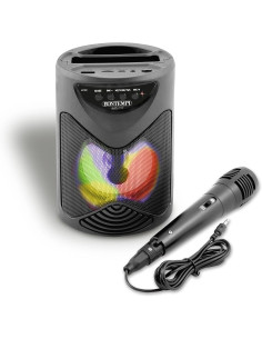 Bontempi - Amplificatore Wireless con microfono effetti...