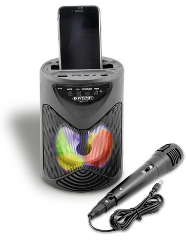 Bontempi - Amplificatore Wireless con microfono...
