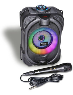 Bontempi - Amplificatore Wireless con microfono effetti...