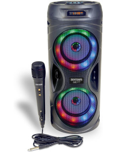 Bontempi - Amplificatore Wireless con microfono effetti...