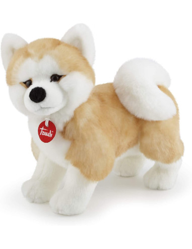 Trudi - Akita Ascanio