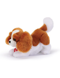 Trudi - Cavalier King Marley