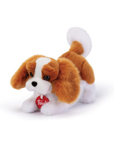 Trudi - Cavalier King Marley 2