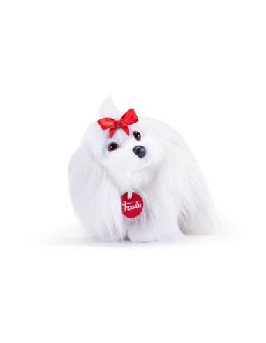 Trudi - Maltese Lulu' S