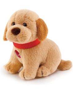 Sw Col Labrador XXS 2