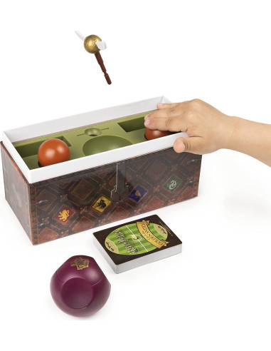 HARRY POTTER Caccia al Boccino d'Oro 