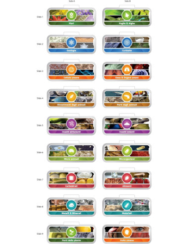 Vtech - Microscopio Video Interattivo