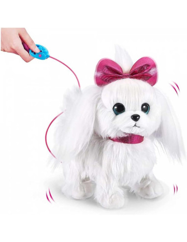 Pets Alive A Spasso con Lilli Maltese