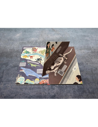 Giunti - Alla ricerca dei dinosauri