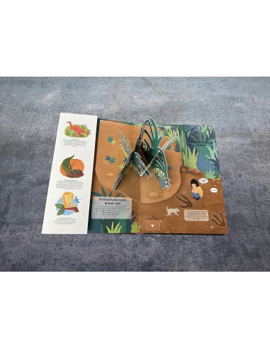 Giunti - Alla ricerca dei dinosauri