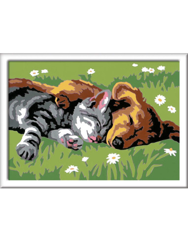 CreArt - CANE E GATTO