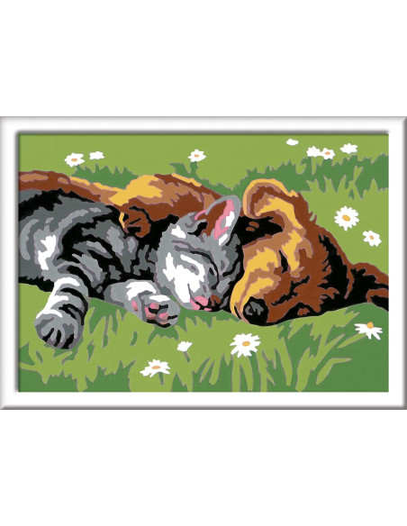 CreArt - CANE E GATTO