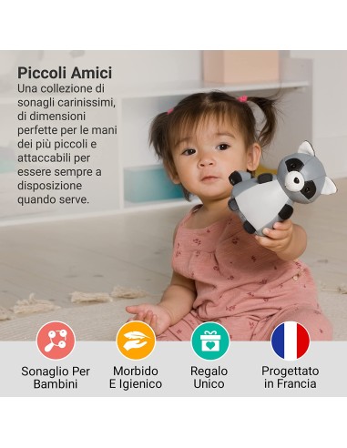 Piccoli Animali - Procione