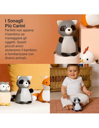 Piccoli Animali - Procione
