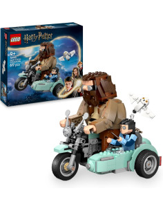 Giro sul sidecar di Hagrid e Harry 