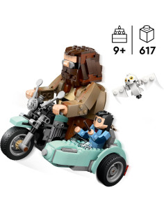 Giro sul sidecar di Hagrid e Harry  2