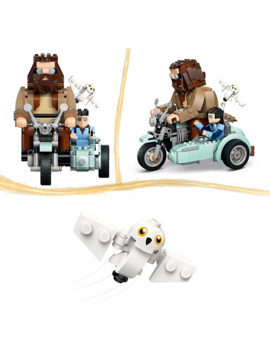 Giro sul sidecar di Hagrid e Harry 