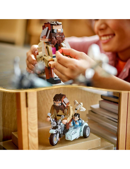 Giro sul sidecar di Hagrid e Harry 