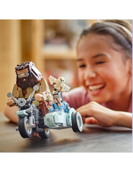 Giro sul sidecar di Hagrid e Harry 