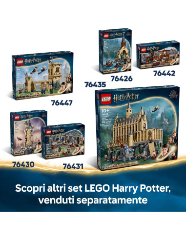 Castello di Hogwarts Club dei duellanti