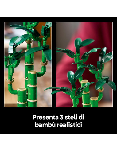 Lego Botanical Collection - Bambù del buon...