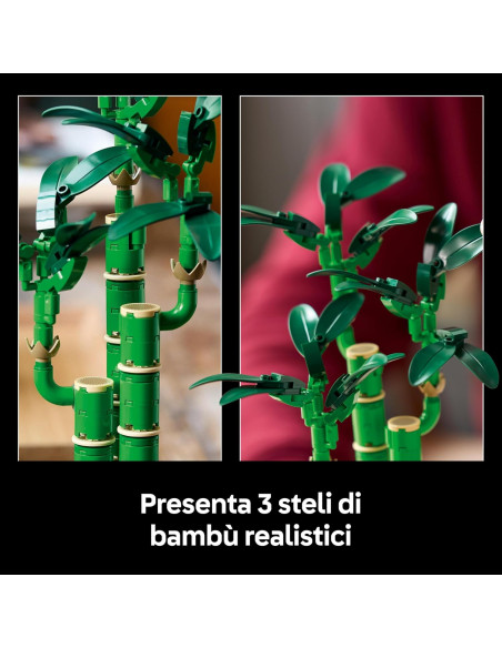 Lego Botanical Collection - Bambù del buon auspicio
