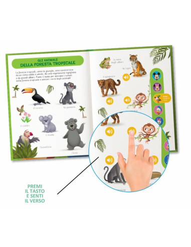 Gli animali che versi fanno?