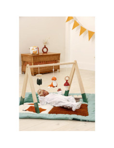 Palestrina di Legno - Foresta 2