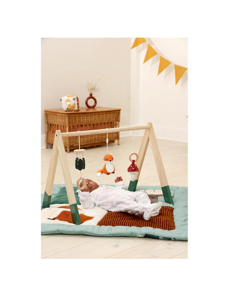 Palestrina di Legno - Foresta