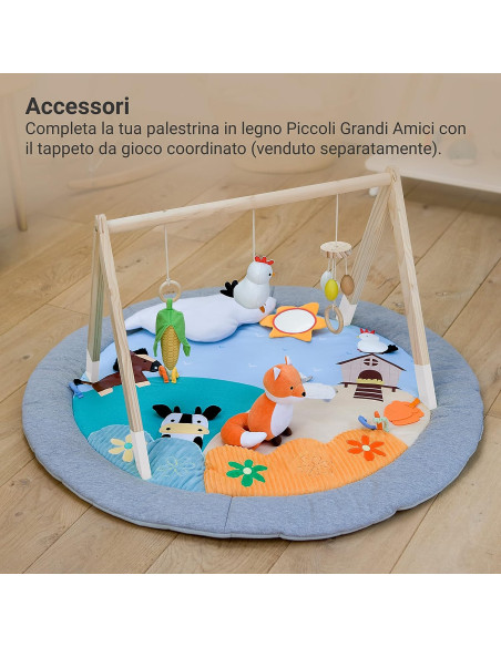 Palestrina di Legno - Foresta