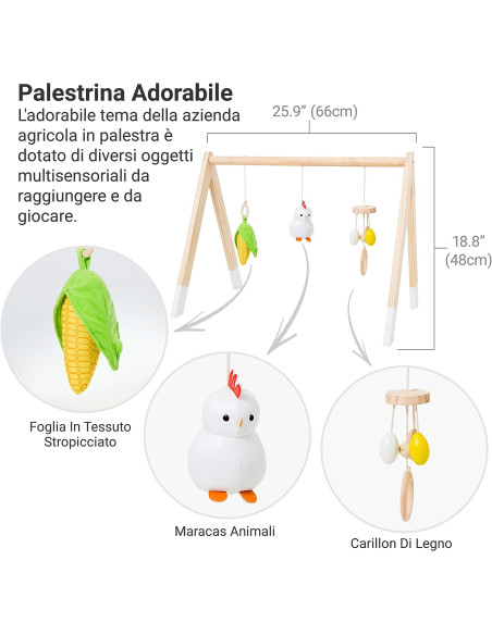 Palestrina di Legno - Foresta