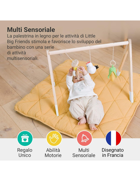 Palestrina di Legno - Foresta