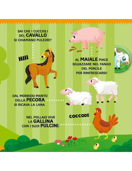 Rubrichine sonore gli animali