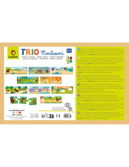 Ludattica Trio Montessori - Famiglie di animali