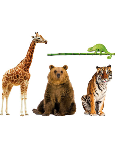 Animali da Record Appendibile