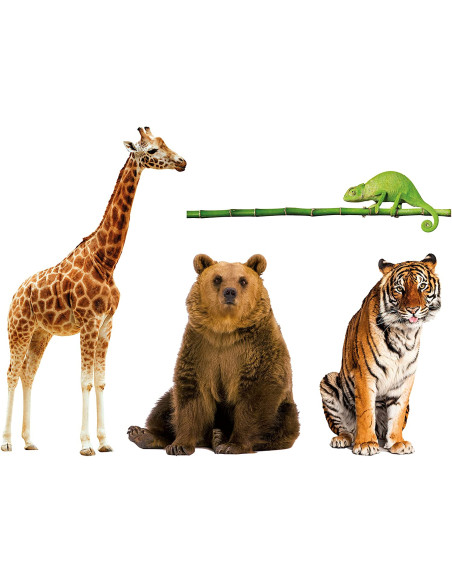 Animali da Record Appendibile