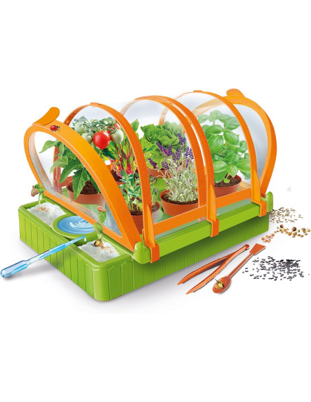 La Scienza nella Serra