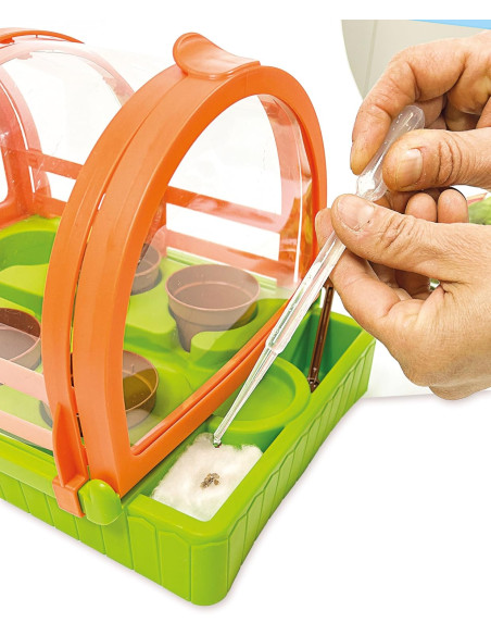 La Scienza nella Serra