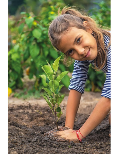 La Scienza nella Serra
