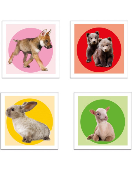 Memo Games Noli Baby Animals