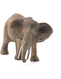 Schleich - Femmina Di Elefante Africano 2