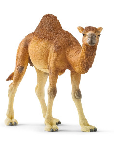 Schleich - Dromedario
