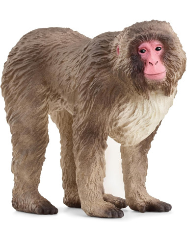 Schleich - Macaco Giapponese