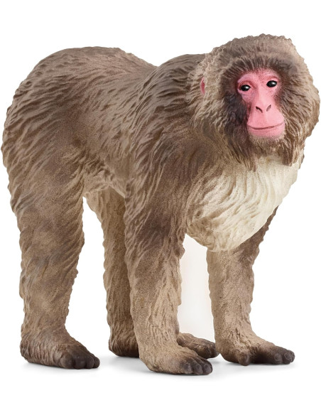 Schleich - Macaco Giapponese