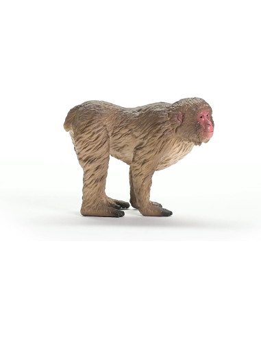 Schleich - Macaco Giapponese