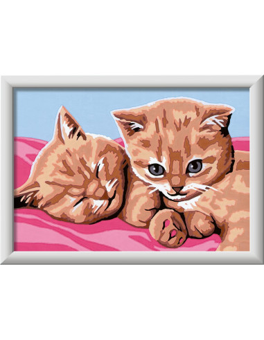 CreArt Serie E Classic - Gattini amici